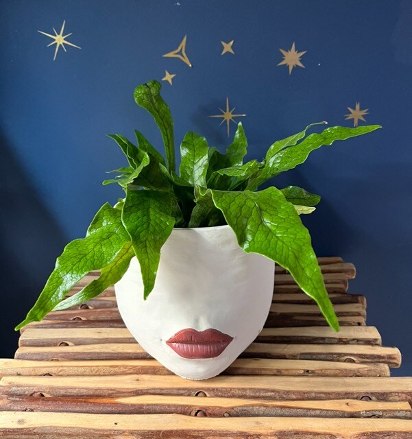 Pittsburgh Florist Flower Delivery by Mt Lebanon Floral Shop